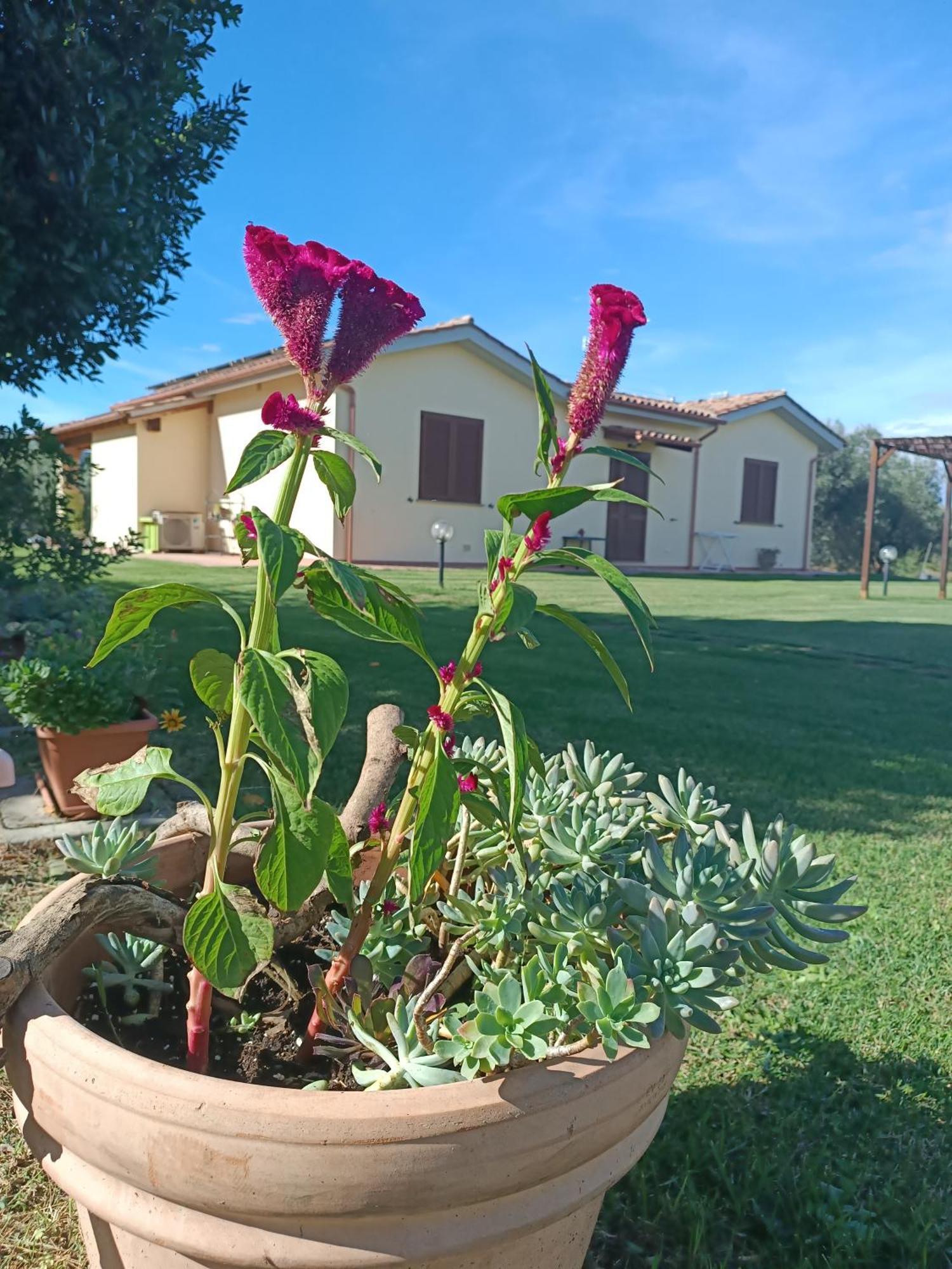 Agriturismo Le Villette Di Cate Alberese Exterior foto